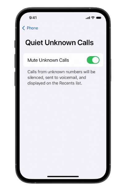 Silence Unknown Caller di iphone